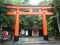 Kyoto : Inari